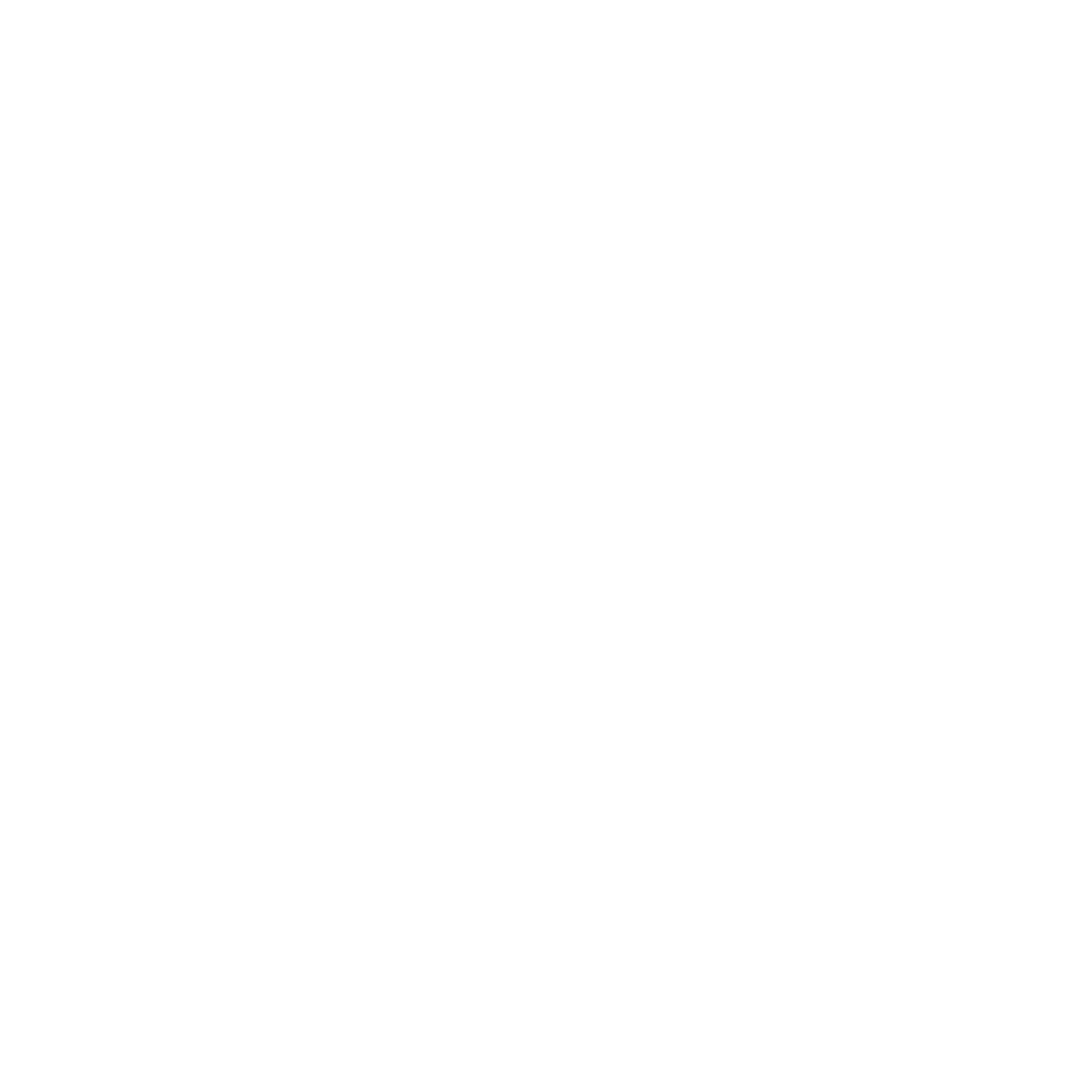 SATIN TOPLESS INDUSTRY